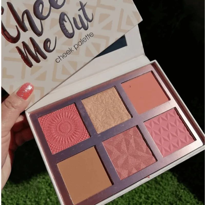 Cheek Me Out Cheek Palette City Color